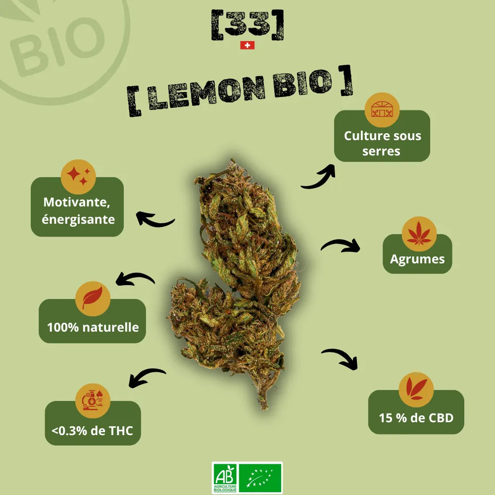 Infographie de la Fleur de CBD Limoncello Bio de Gr33nz, cultivée sous serre, aux arÎmes d'agrumes, avec 15% de CBD et moins de 0,3% de THC