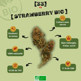 Visuel de la fleur de CBD Strawberry Bio gr33nz, cultivée sous serre, avec 11 % de CBD