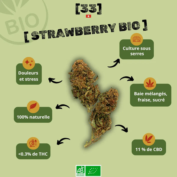 Visuel de la fleur de CBD Strawberry Bio gr33nz, cultivée sous serre, avec 11 % de CBD