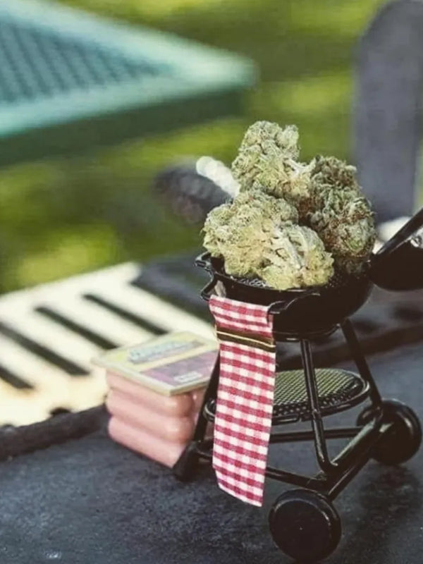 Mini barbecue avec des têtes de CBD à l'intérieur. Ambiance humoristique et décalée.