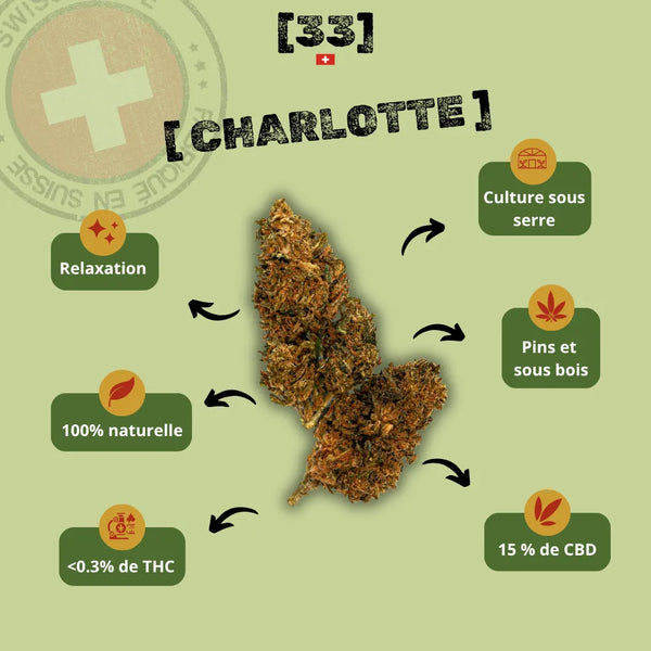 Présentation de la fleur de CBD Charlotte Suisse de Gr33nz, une variété cultivée sous serre, aux arômes de pins et de sous-bois, idéale pour une relaxation naturelle et profonde.