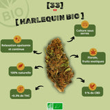 Présentation de la Fleur de CBD Harlequin Bio de Gr33nz, cultivée sous serre, avec des notes florales et de fruits exotiques, offrant une relaxation apaisante et continue.