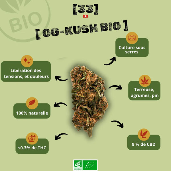 Fleur de CBD OG Kush Bio de Gr33nz, cultivée sous serre avec des arômes terreux, d’agrumes et de pin. Effet relaxant et soulagement des tensions.