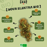 Présentation de la fleur de CBD Sour Elektra Bio de Gr33nz, cultivée sous serre, offrant des notes d'agrumes, de baies fruitées et une touche gazeuse.