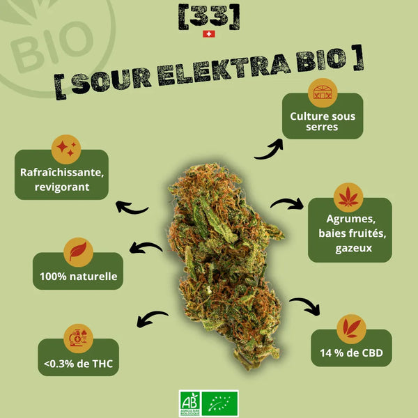 Présentation de la fleur de CBD Sour Elektra Bio de Gr33nz, cultivée sous serre, offrant des notes d'agrumes, de baies fruitées et une touche gazeuse.
