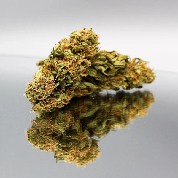 Fleurs de CBD Sour Elektra Bio de Gr33nz, avec une culture sous serre pour des arômes d'agrumes, de baies fruitées et une touche gazeuse.