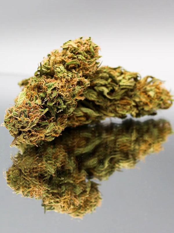 Fleurs de CBD Sour Elektra Bio de Gr33nz, avec une culture sous serre pour des arômes d'agrumes, de baies fruitées et une touche gazeuse.