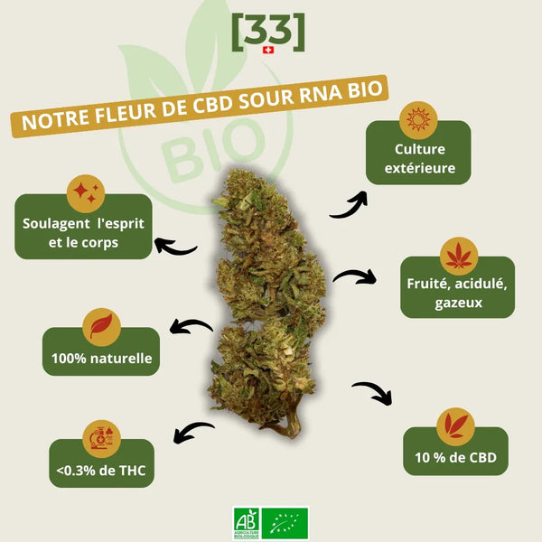Fleur de CBD Sour RNA Bio de Gr33nz, issue d'une culture extérieure naturelle, offrant des arÎmes fruités et acidulés avec 10 % de CBD et moins de 0,3 % de THC.