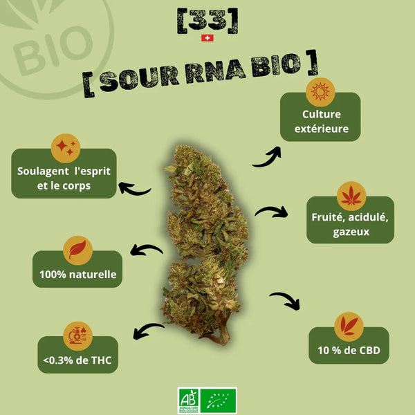 Fleur de CBD Sour RNA Bio de Gr33nz, issue d'une culture extérieure naturelle, offrant des arômes fruités et acidulés avec 10 % de CBD et moins de 0,3 % de THC.