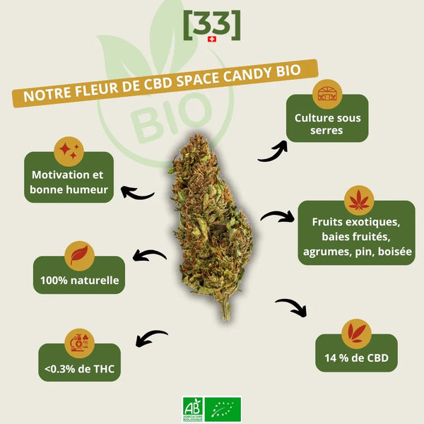 Fleur de CBD Space Candy Bio Gr33nz, cultivée sous serre, avec 14 % de CBD et moins de 0,3 % de THC, aux notes fruitées, boisées et agrumes pour une bonne humeur garantie.