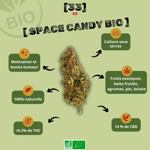 Fleur de CBD Space Candy Bio Gr33nz, cultivée sous serre, avec 14 % de CBD et moins de 0,3 % de THC, aux notes fruitées, boisées et agrumes pour une bonne humeur garantie.