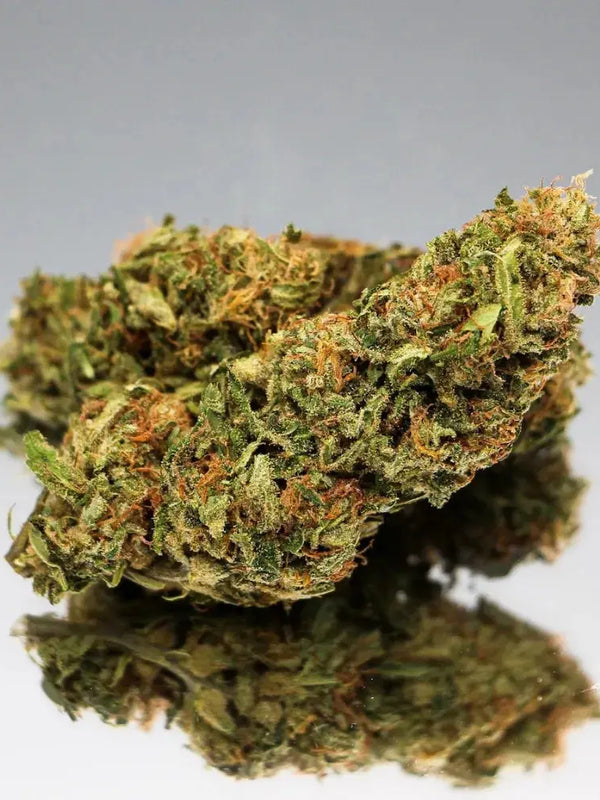 Gros plan sur la fleur de CBD Space Candy Bio de Gr33nz, riche en arÎmes fruités et boisés, avec 14 % de CBD et une culture sous serre pour une qualité optimale.