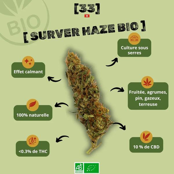 Présentation de la Fleur de CBD Surver Haze Bio Gr33nz, cultivée sous serre, avec un effet calmant, un arôme fruité aux notes d'agrumes, de pin et de terre, et une concentration de 10 % de CBD.gr33nz.com