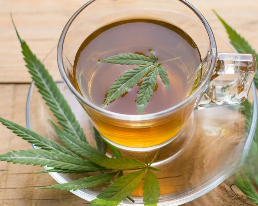 asse dâinfusion au CBD avec feuilles de chanvre, une boisson naturelle pour la relaxation et le bien-ĂȘtre, disponible sur gr33nz.com.