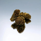 Gros plan sur la Fleur de CBD Golden Kush Suisse de Gr33nz, une variété outdoor aux arÎmes doux et sucrés avec 17 % de CBD.