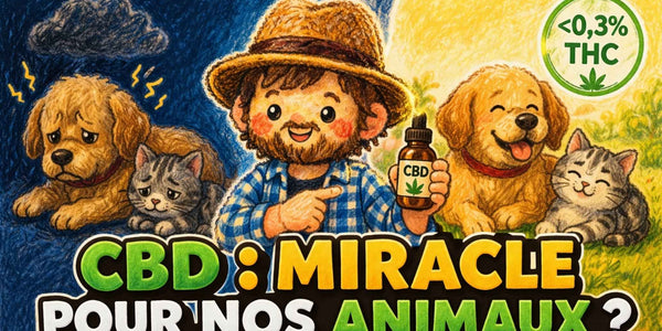 CBD pour animaux
