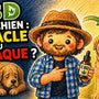 CBD pour chien ?
