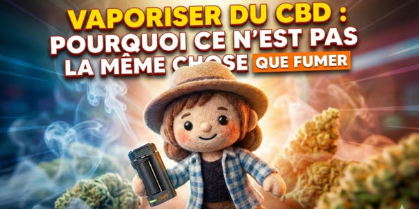 Vaporisateur CBD : pourquoi ce n’est pas la même chose que fumer