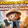 Vaporisateur CBD : pourquoi ce n’est pas la même chose que fumer