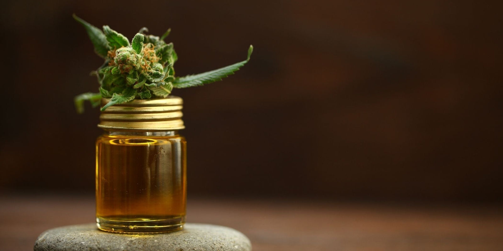 Huile de CBD Bio : Le guide ultime pour comprendre la qualité et l'excellence