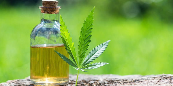 Comment choisir son huile CBD ?