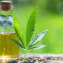 Comment choisir son huile CBD ?