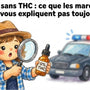 CBD sans THC : Le Standard Technique et Réglementaire de 2026
