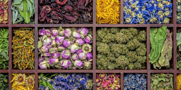 Quel dosage mettre dans sa tisane CBD ? Trouver son équilibre idéal