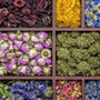 Quel dosage mettre dans sa tisane CBD ? Trouver son équilibre idéal