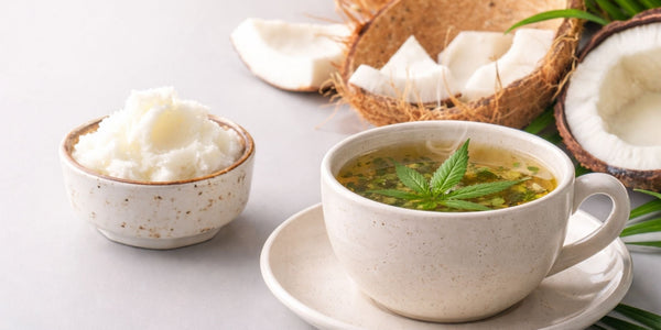 Quel corps gras pour une tisane CBD ? le guide clair pour bien choisir