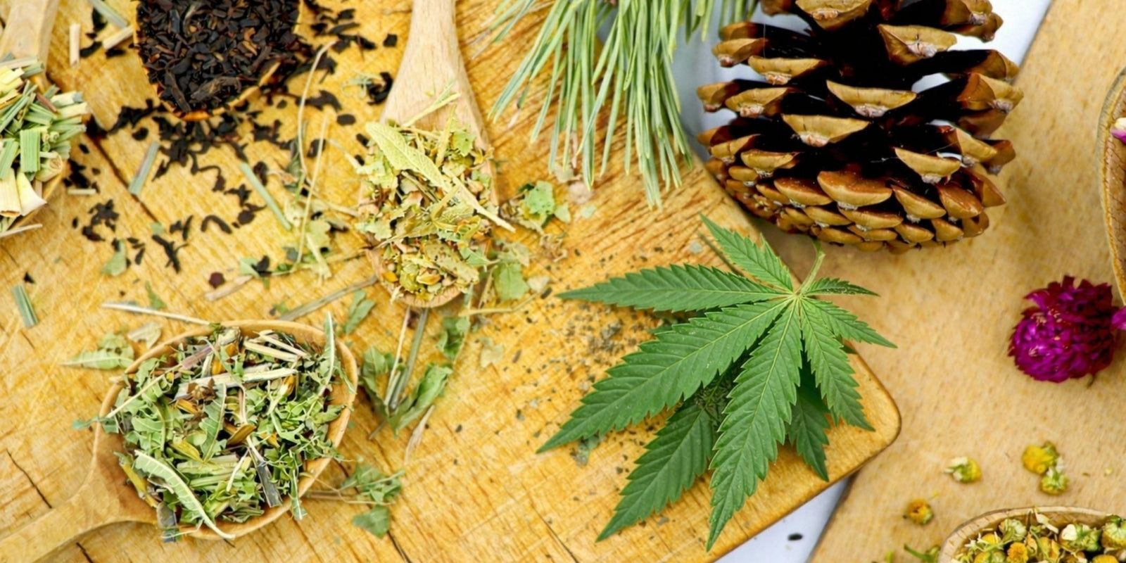 Tisane CBD bio vs non bio : quelle différence, concrètement ?