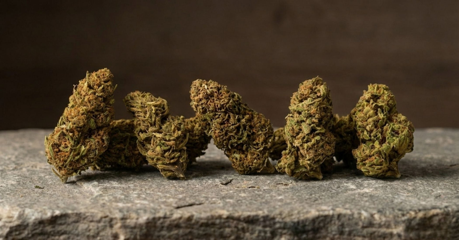 Fleurs CBD Millésime Bio