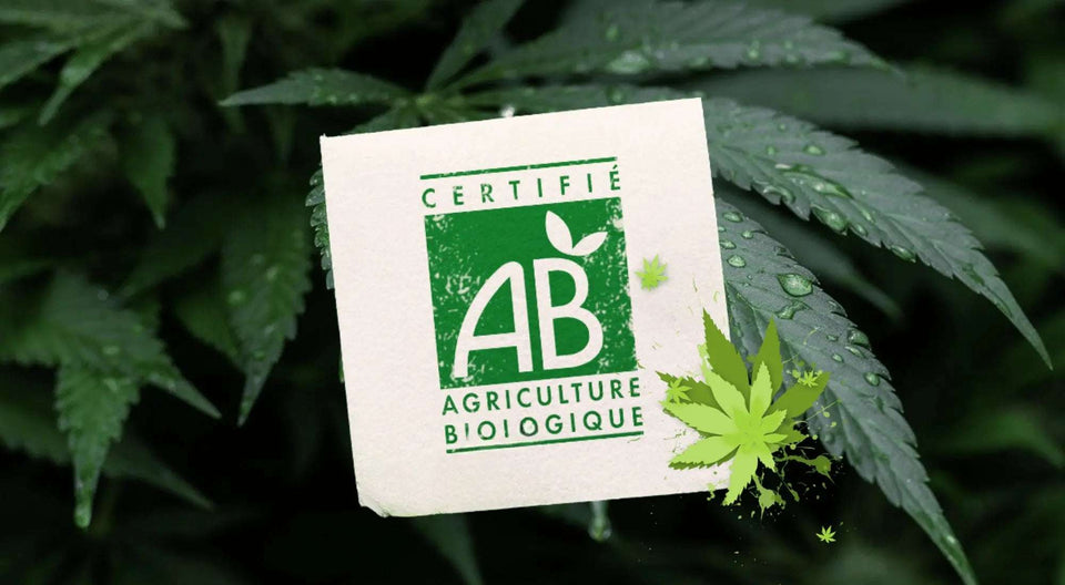 Fleurs CBD Bio - GR33NZ