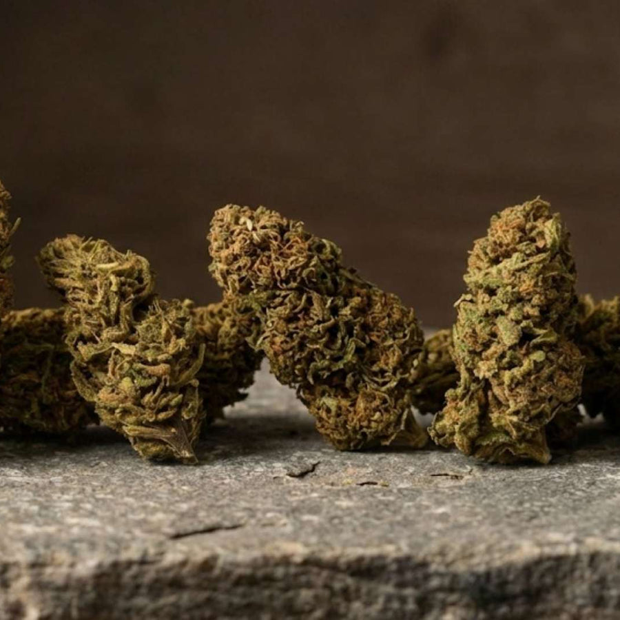 Fleurs CBD Millésime Bio GR33NZ