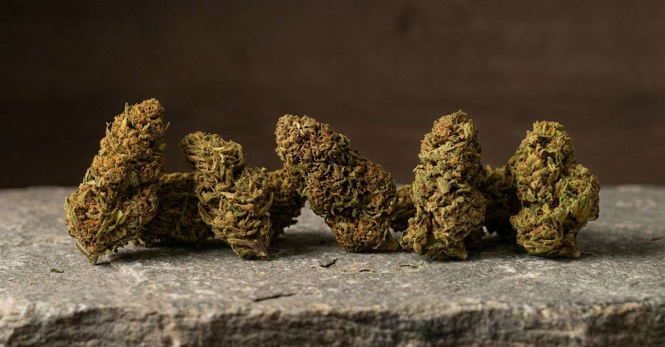 Fleurs CBD Millésime Bio GR33NZ