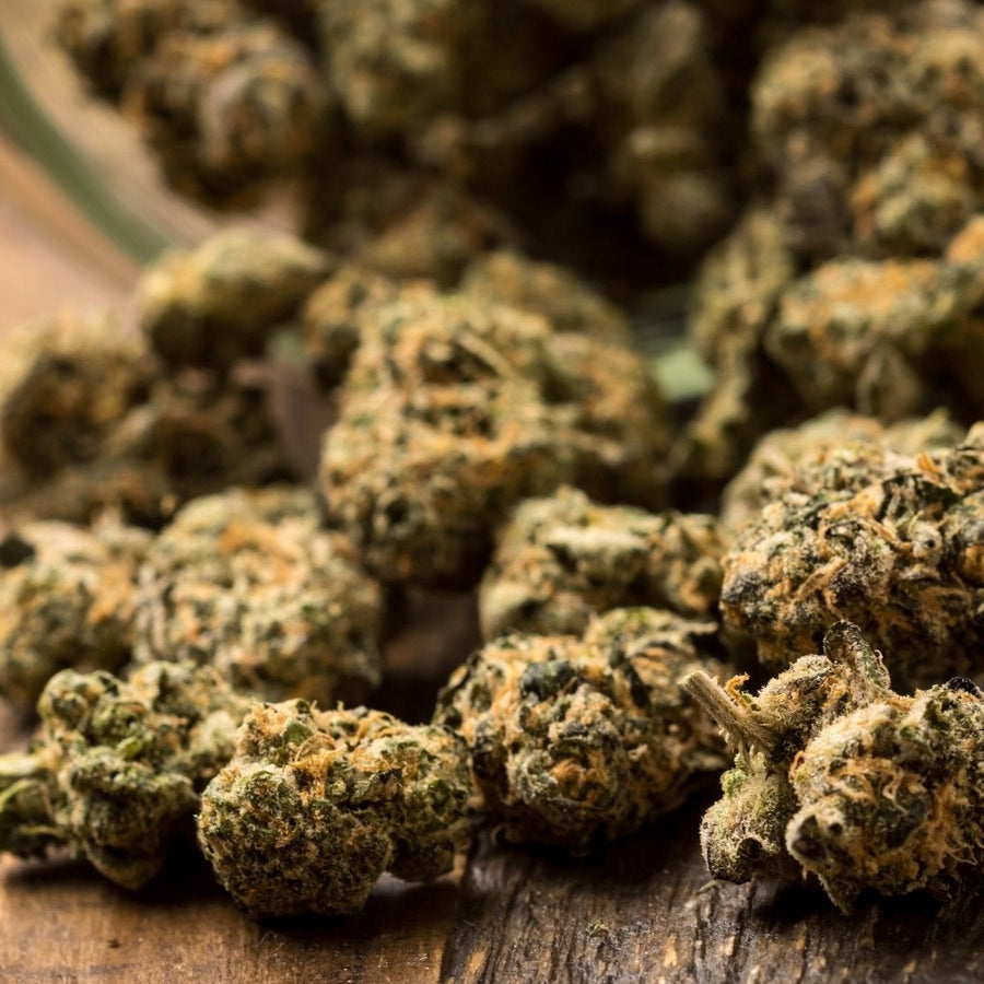 CBD 100g : La fleur bio à moins d’1 €/g