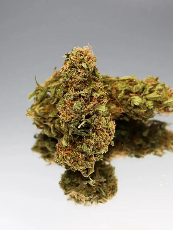 Sour surver haze BIO – fleurs CBD gr33nz.com