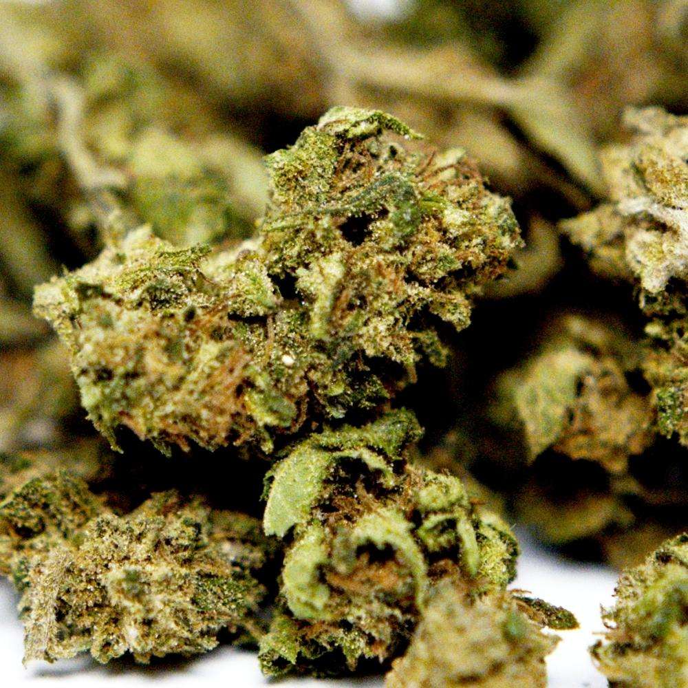 Zoom fleur CBD Cannatonic. Bourgeons compacts aux teintes vert clair et pistils orangés, variété issue de chanvre légal en Europe.