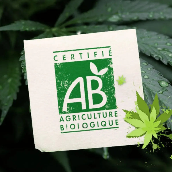 Label Agriculture Biologique (AB) sur fond de feuille de chanvre, garantissant un CBD cultivé selon des normes écologiques strictes.