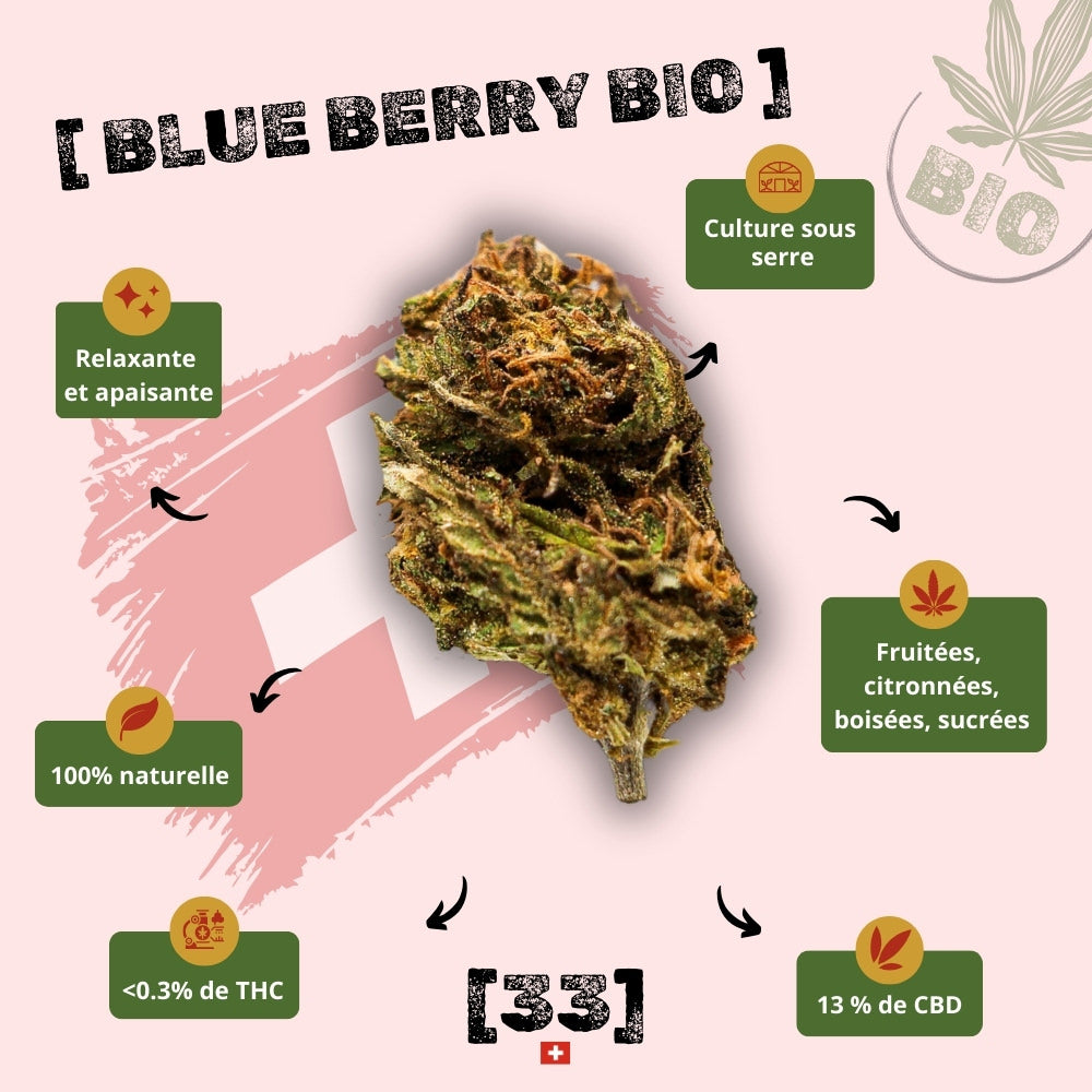 Infographie présentant la fleur de CBD Blue berry muffin Bio de Gr33nz, cultivée sous serre, avec un taux de 13% de CBD et des arômes boisés et agrumés pour un effet relaxant.