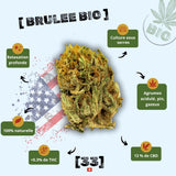 Fleur de CBD sour brulée Bio de Gr33nz, cultivée sous serre, offrant un  arômes puissants de citron vert et gazeux, avec une légère touche de pin. 100 % naturelle avec 13 % de CBD et moins de 0,3 % de THC.