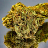 Gros plan de la fleur de CBD sour brulée Bio de Gr33nz, aux teintes vertes et orangées, cultivée sous serre pour une qualité premium.