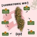 fleurs de cannabis Cannatonic bio