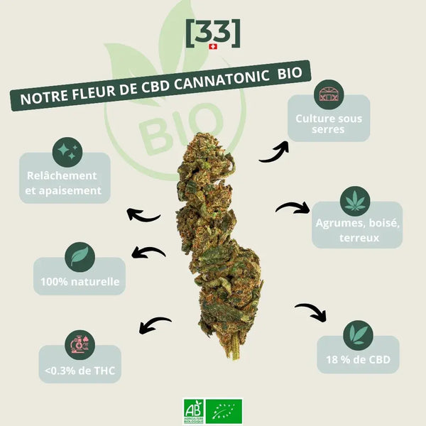 Infographie présentant la fleur de CBD Cannatonic Bio de Gr33nz, cultivée sous serre, avec un taux de 18% de CBD et des arômes boisés et agrumés pour un effet relaxant.