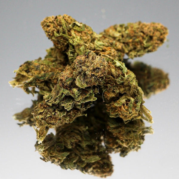 Photo en gros plan de la fleur de CBD Cannatonic Bio de Gr33nz, présentant une texture dense et une couleur verdoyante avec des reflets orangés, mise en valeur sur un fond miroir.