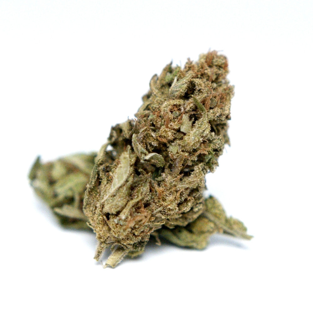 Fleur de CBD Cannatonic bio affichant une belle robe vert forêt, présentée individuellement sur un fond blanc