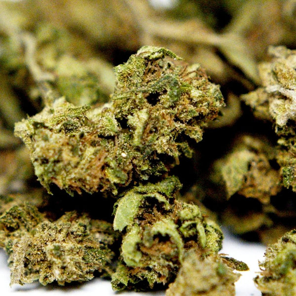 Zoom fleur CBD Cannatonic. Bourgeons compacts aux teintes vert clair et pistils orangés, variété issue de chanvre légal en Europe.