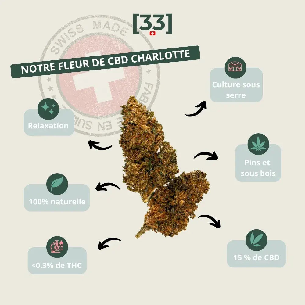 Présentation de la fleur de CBD Charlotte Suisse de Gr33nz, une variété cultivée sous serre, aux arômes de pins et de sous-bois, idéale pour une relaxation naturelle et profonde.