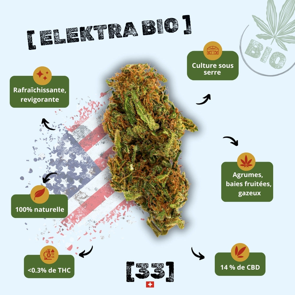 fleur de CBD Sour Elektra Bio de Gr33nz, cultivée sous serre, offrant des notes d'agrumes, de baies fruitées et une touche gazeuse.