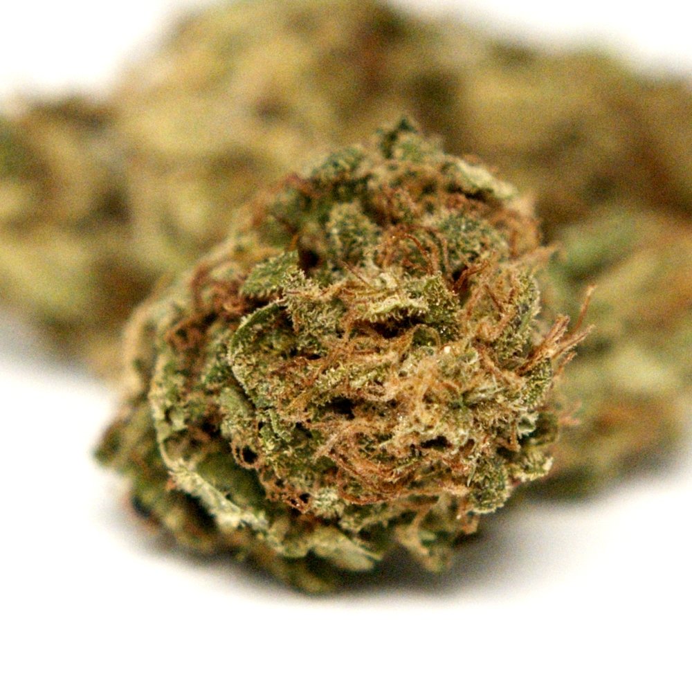 Fleur CBD Elektra en packshot sur fond neutre. Tête compacte aux notes végétales, riche en trichomes, issue de chanvre conforme aux normes européennes.
